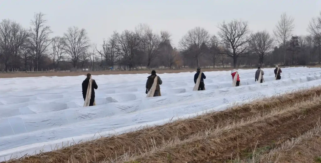 6 Männer in Winter auf dem Spargelfeld des Krewelshofes.