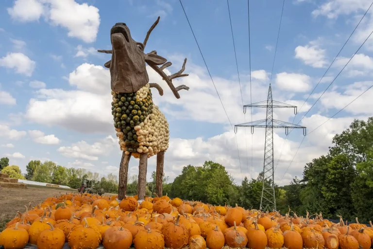 Hirschkäfer-Figur auf der Kürbisschau Krewelshof.