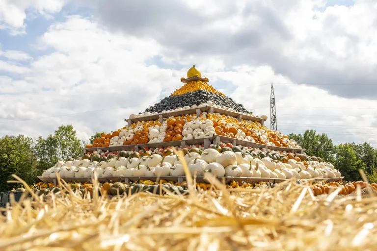 Eine riesige Kürbis-Pyramide gibt es auf der Kürbisschau auf dem Krewelshof zu sehen.