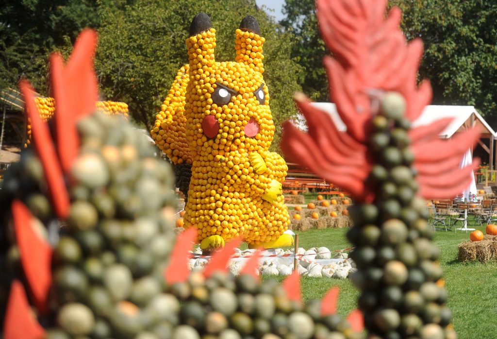 Pikachu als Kürbisfigur bei der Kürbisschau auf dem Krewelshof.
