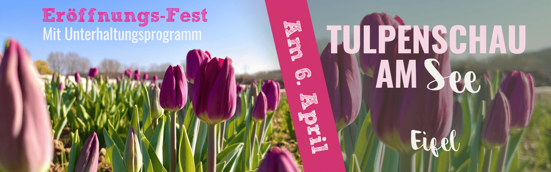 Slide Tulpenschau Krewelshof Eifel 2025 Erögffnung