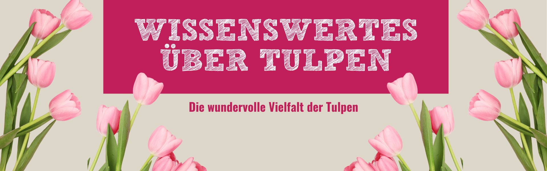 Slide Wissensewertes Tulpen Krewelshof Eifel 2025 Home