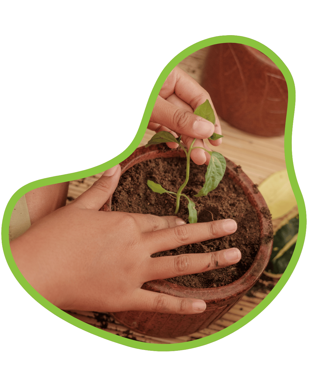 Sommerferien-Programm Kreativwerkstatt Form, Sommer, Sommerferien, Workshop, DIY, Blumen, Pflanzen, Topf, Kinder, Basteln, Florisitk