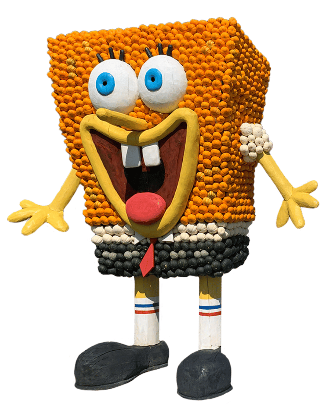 Spongebob aus Kürbissen Krewelshof Kürbisschau Eifel