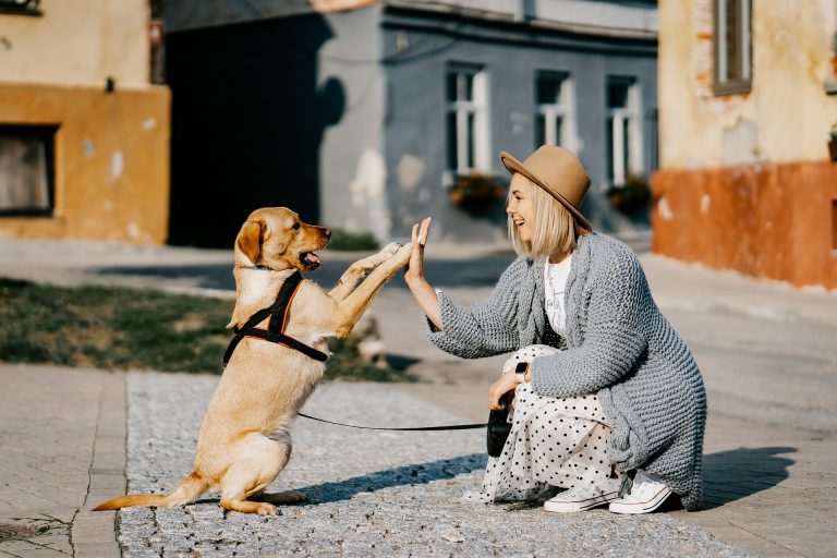 Dog gives owner paws, to show that dogs are welcome at Krewelshof.
