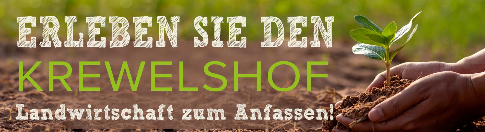 Landwirtschaft zum anfassen - krewelshof Eifel