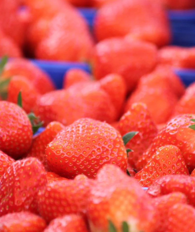 Leckere Erdbeeren aus eigenem Anbau vom Krewelshof.