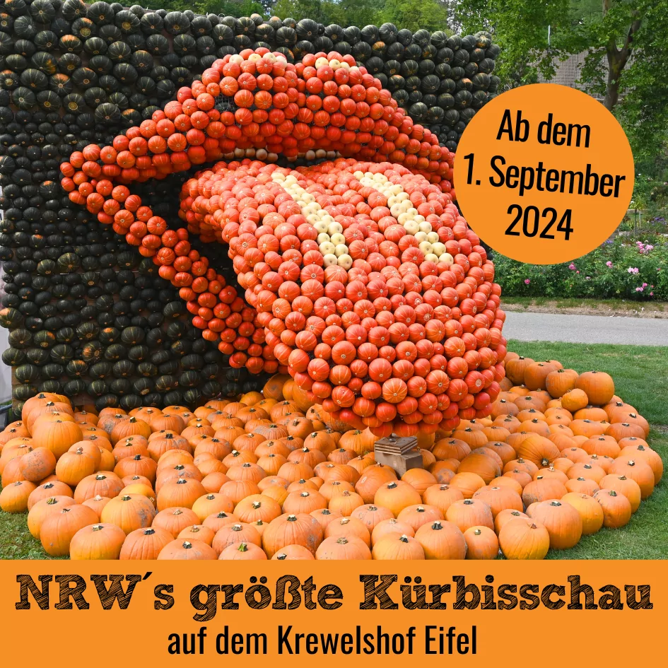 Kürbisschau auf dem Krewelshof Eifel 2024