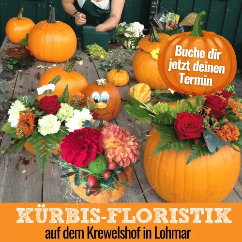 Kürbis Floristik Workshop auf dem Krewelshof in Lohmar