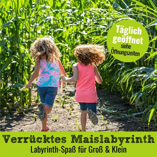 Maislabyrinth 2024 auf dem Krewelshof Eifel & Lohmar