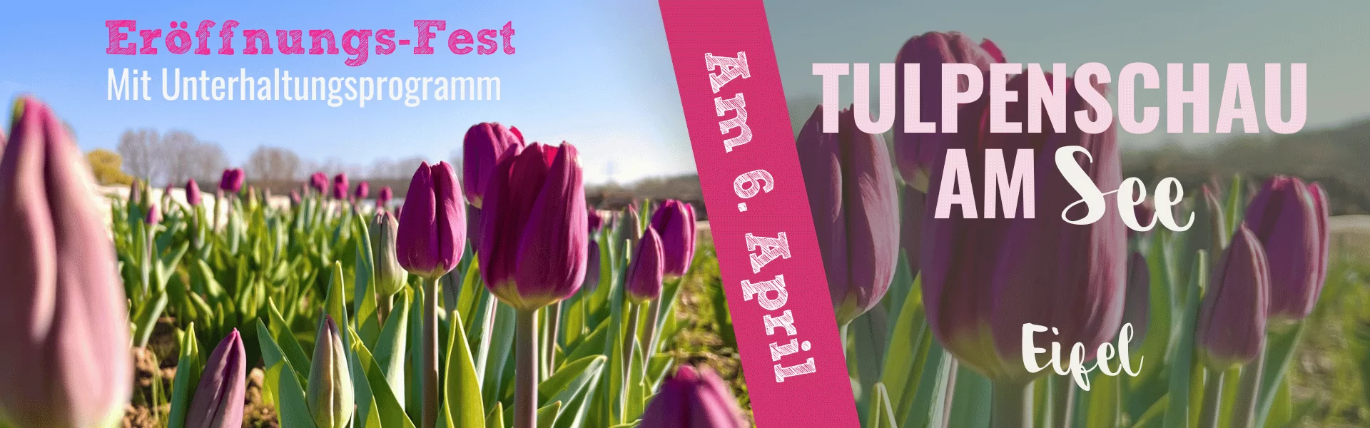 Slide Tulpenschau Krewelshof Eifel 2025 Erögffnung