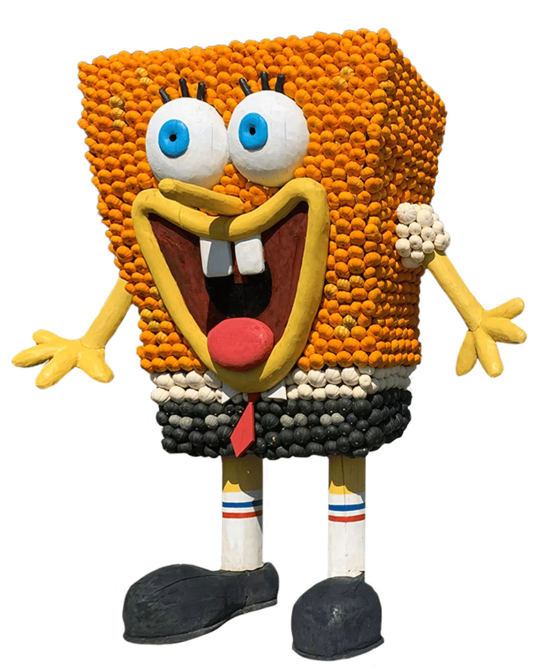 Spongebob aus Kürbissen Krewelshof Kürbisschau Eifel