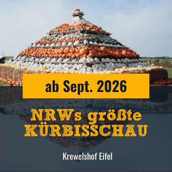 NRWs Größte Kürbisschau auf dem Krewelshof Eifel 2026